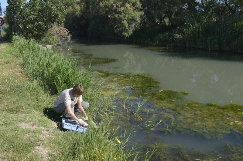 Réseau de suivi du CD30 @ Matthieu Cazenove Ressource et Milieux aquatiques Renforcer le suivi qualitatif