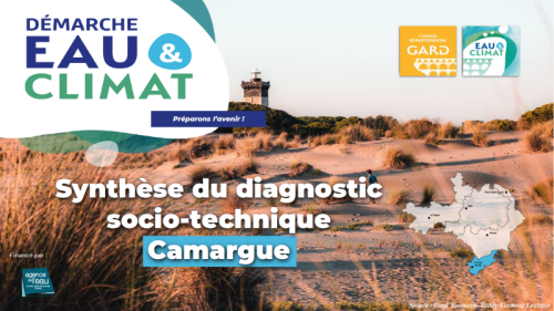 synthèse diagnostic Camargue Documentation Eau & Climat