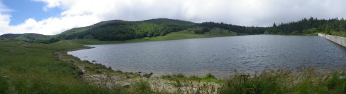 ENSD: Lac des Pises Protéger la biodiversité