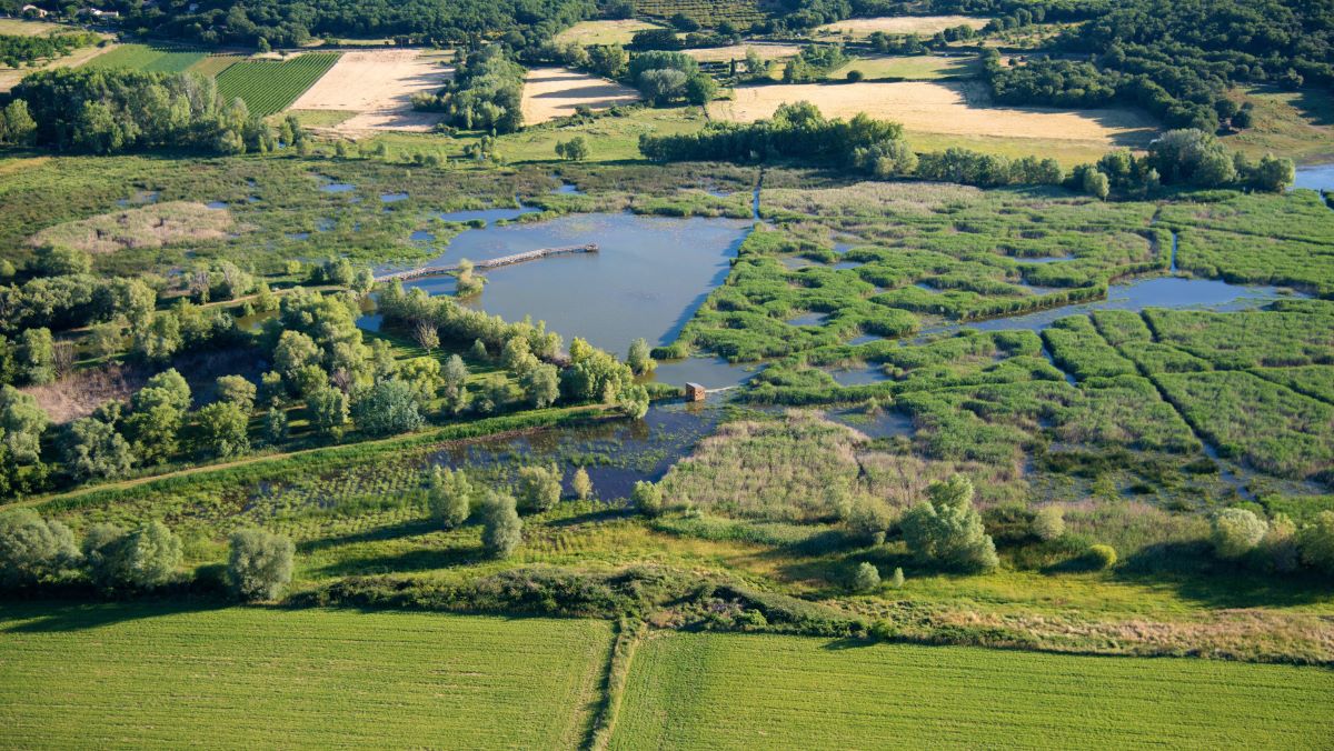 Etang de la Capelle @JM_HD Ressources et Milieux Aquatiques